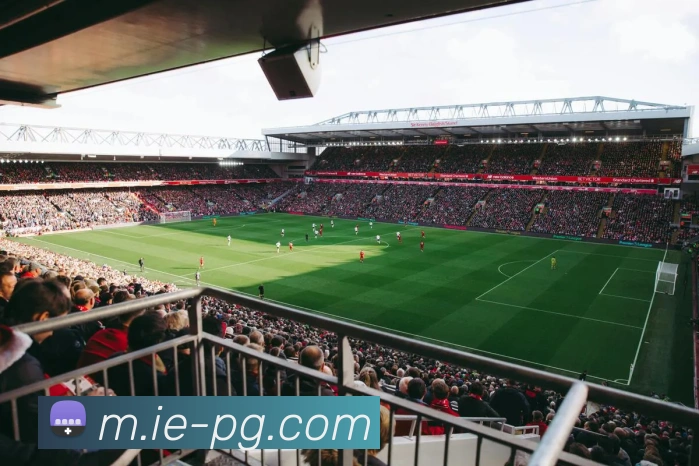 pg电子服务体系